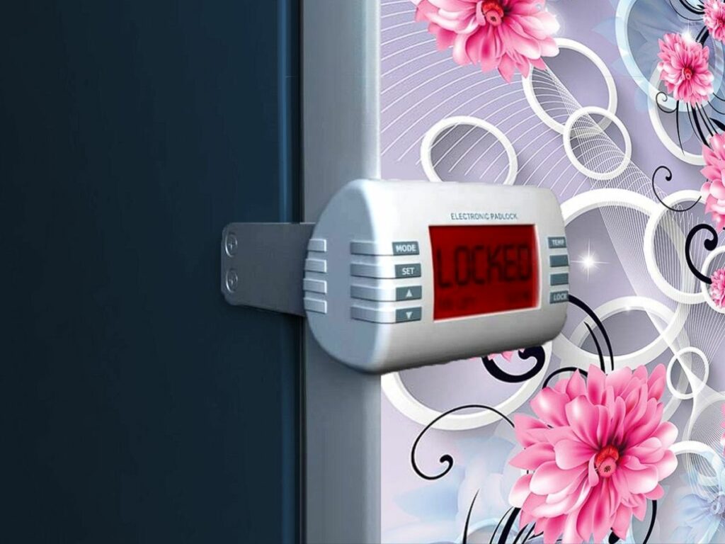 Electronic fridge lock