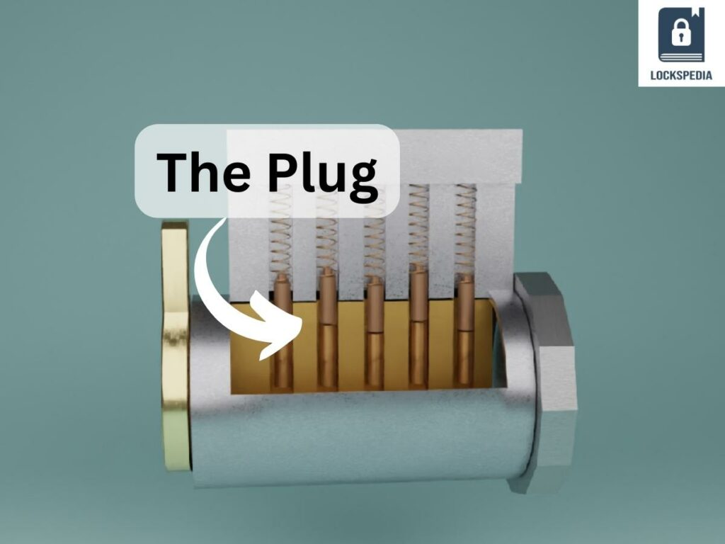 The Plug: